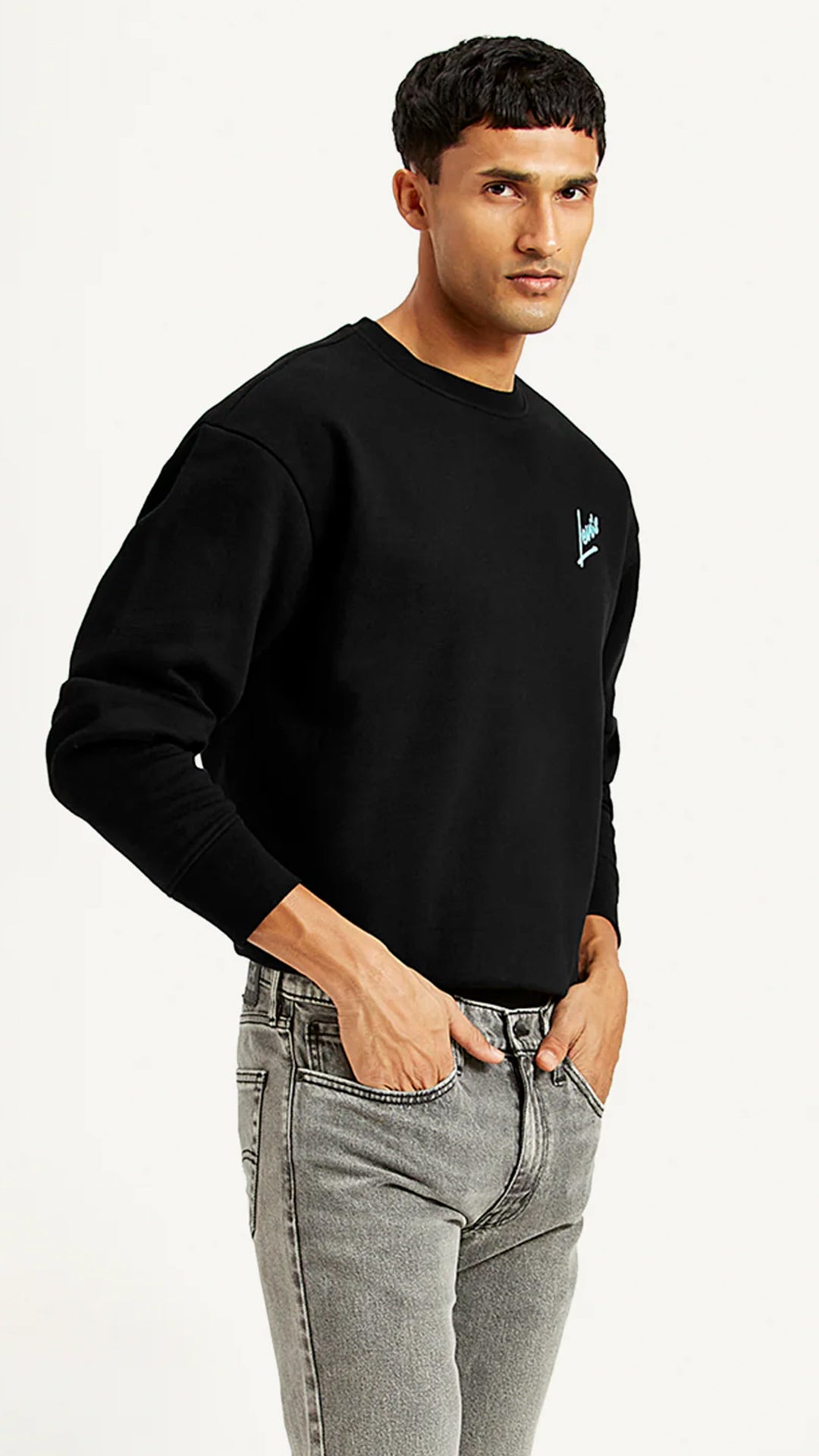 Levi's Men's Graphic Print Relaxed Fit Sweatshirt
